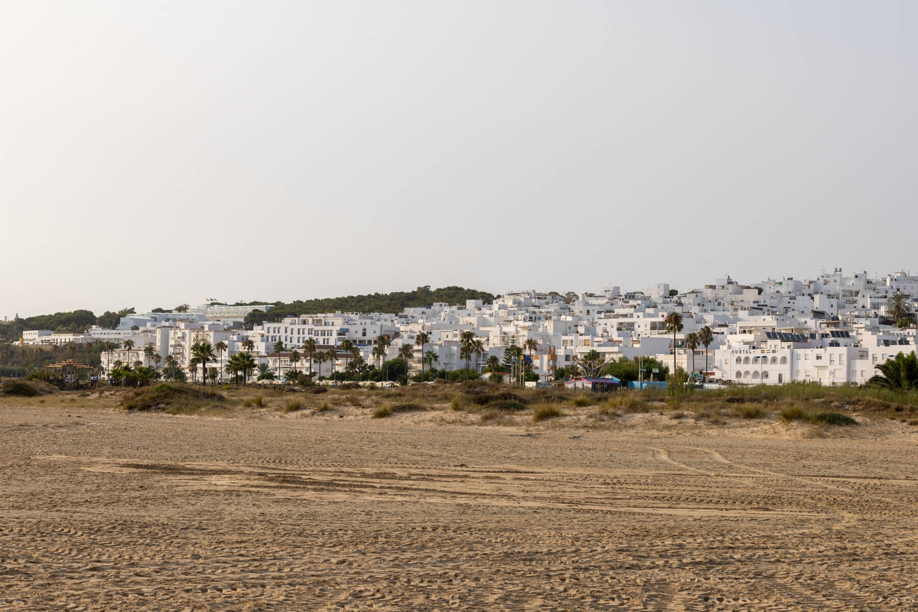 donde comer en conil